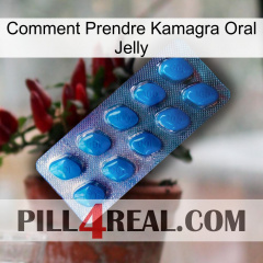 How To Take Kamagra Oral Jelly viagra1